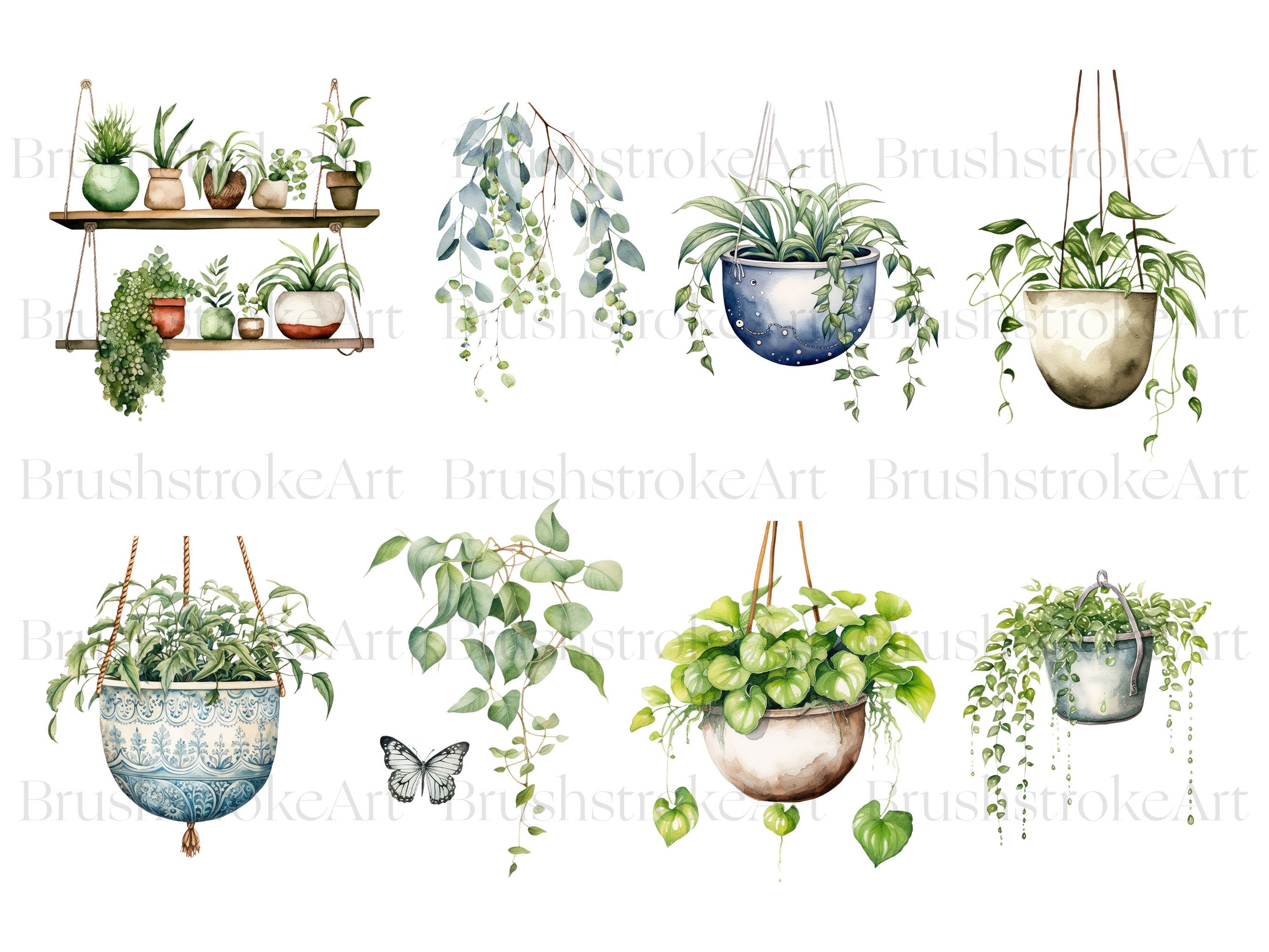 Watercolor Hanging Plants Clipart Hanging Flower Gardening Clipartset 