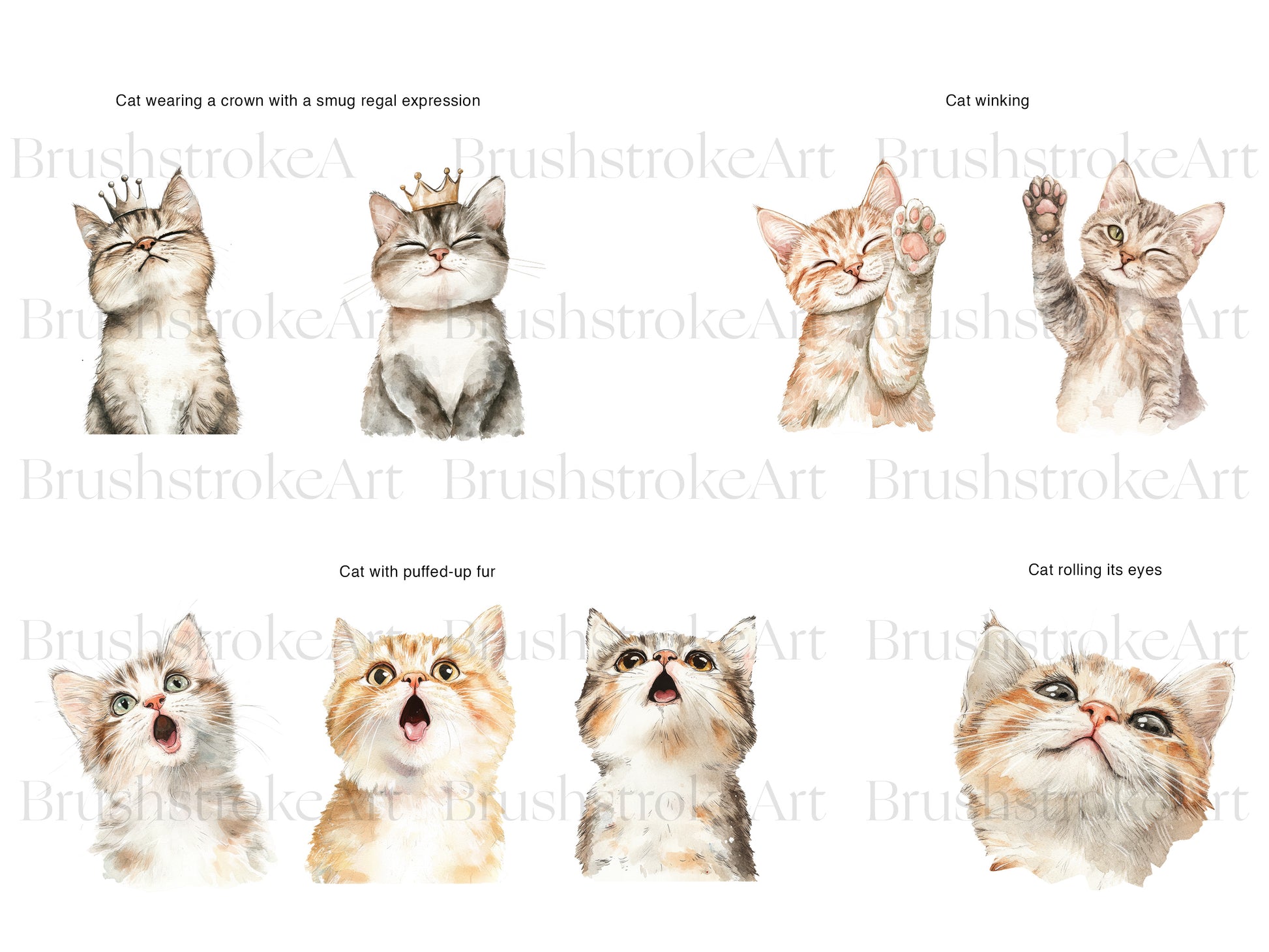 Quirky Cats PNG