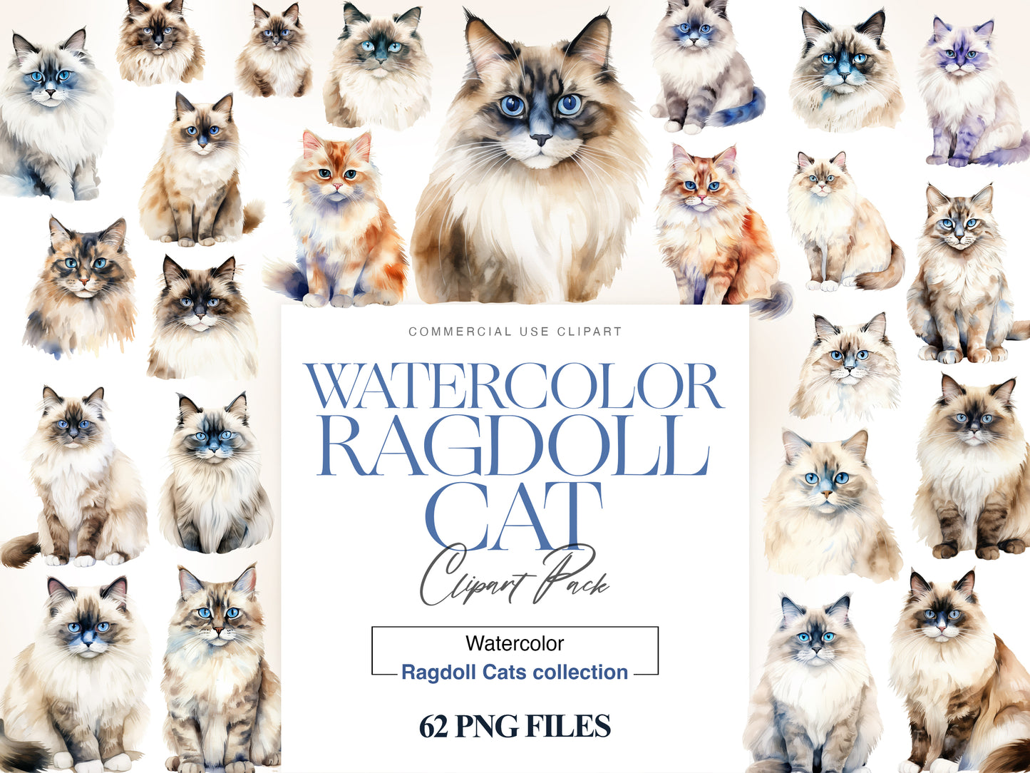 Ragdoll Cat Clipart, Ragdoll Kitten PNG, Long Haired Cat