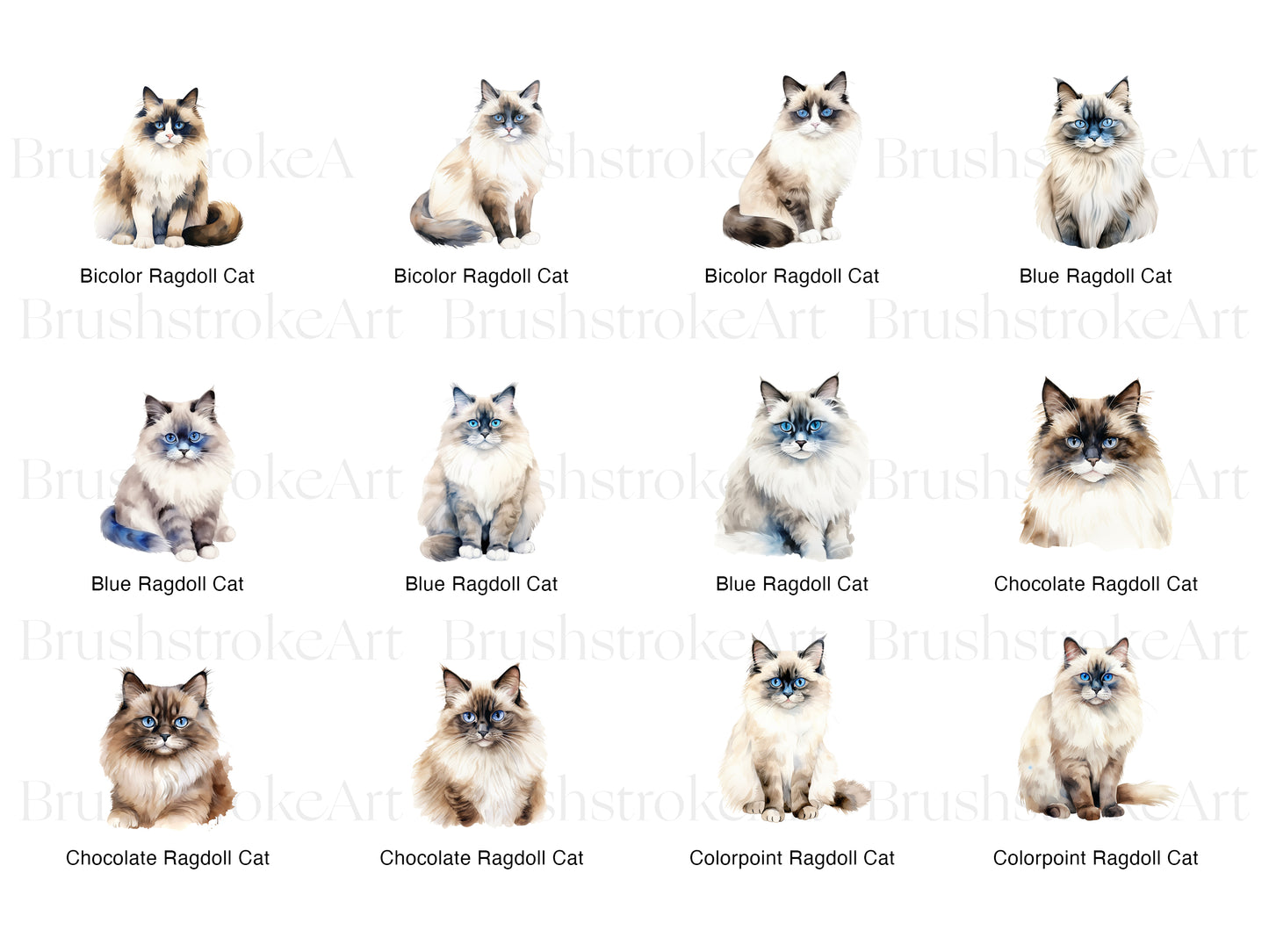 Ragdoll Cat Clipart, Ragdoll Kitten PNG, Long Haired Cat