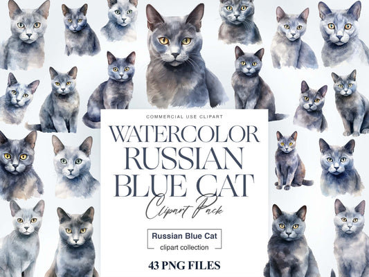 Russian Blue Cat Clipart, Watercolor Cat, Russian Cat Breed