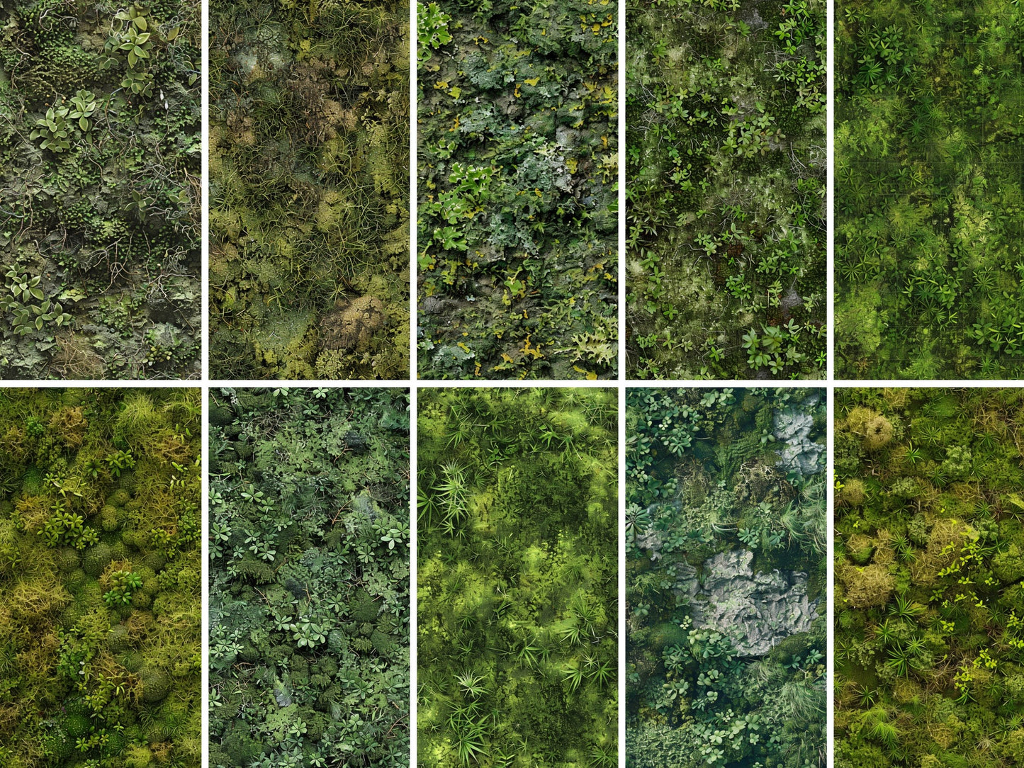 Seamless texture