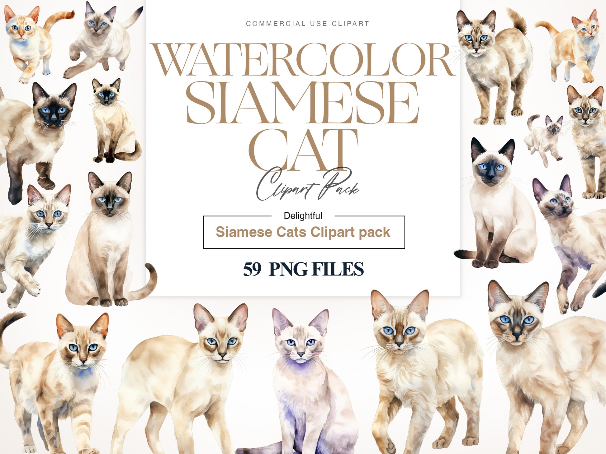 Siamese Cat Clipart