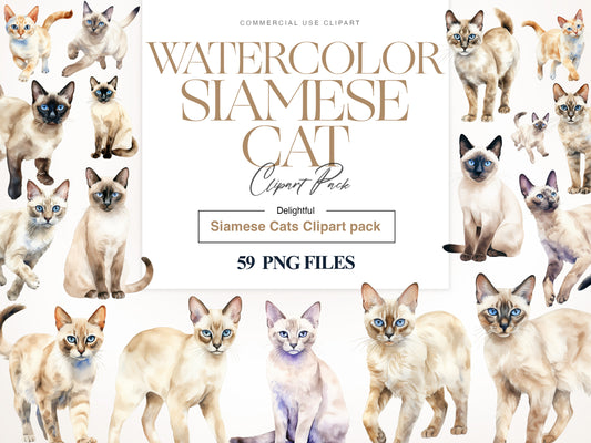 Siamese Cat Clipart