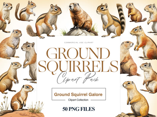 Squirrel Clipart