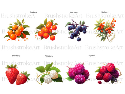 Strawberry Clipart