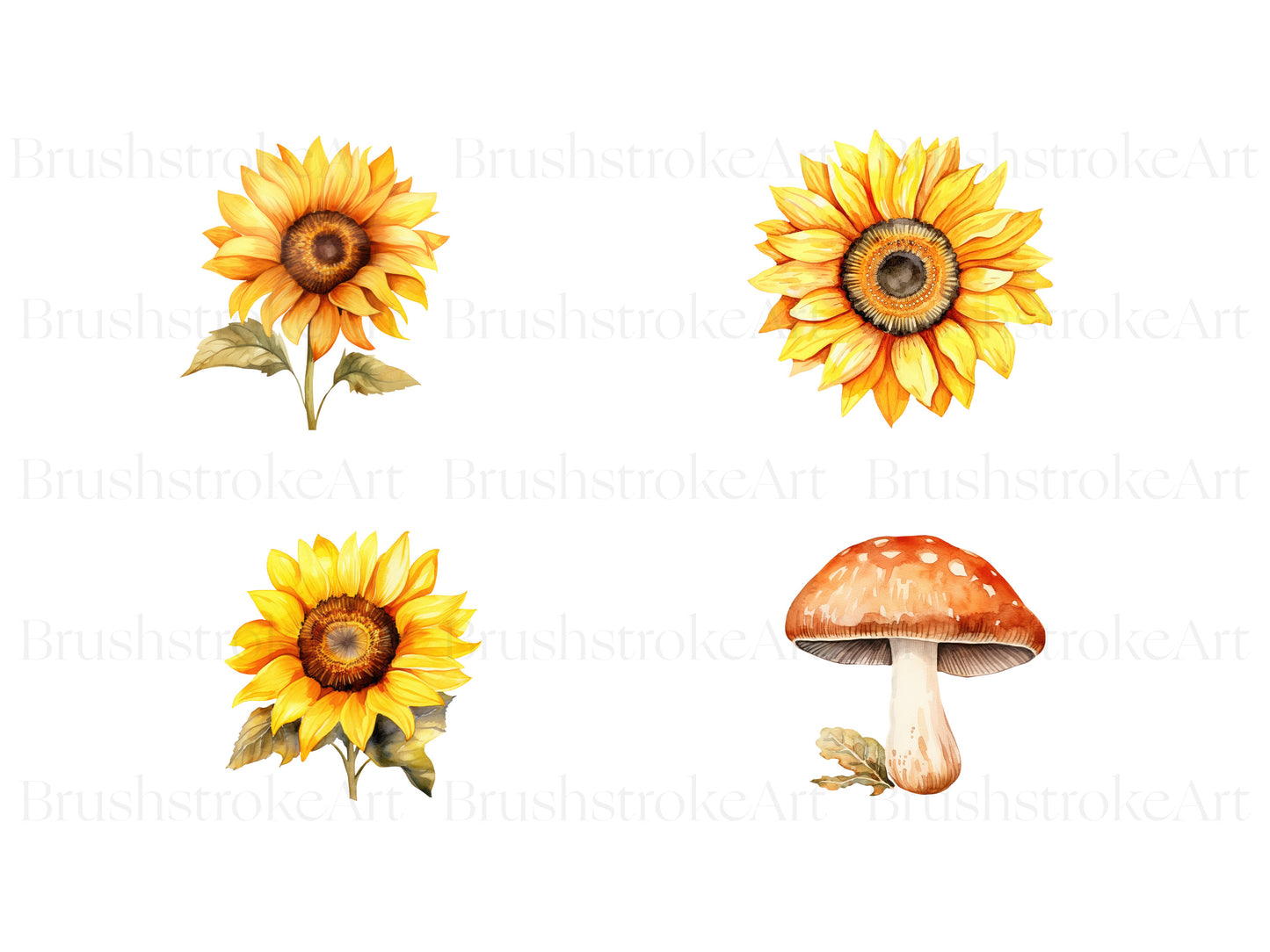 Sunflower Clipart