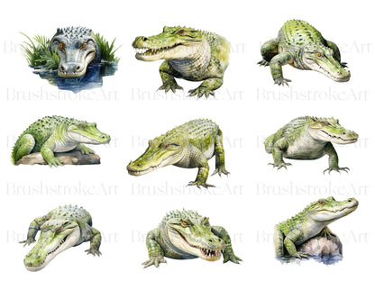   Swamp Clipart