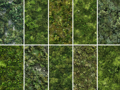 Top down mossy texture