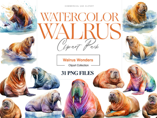 Walrus Clipart