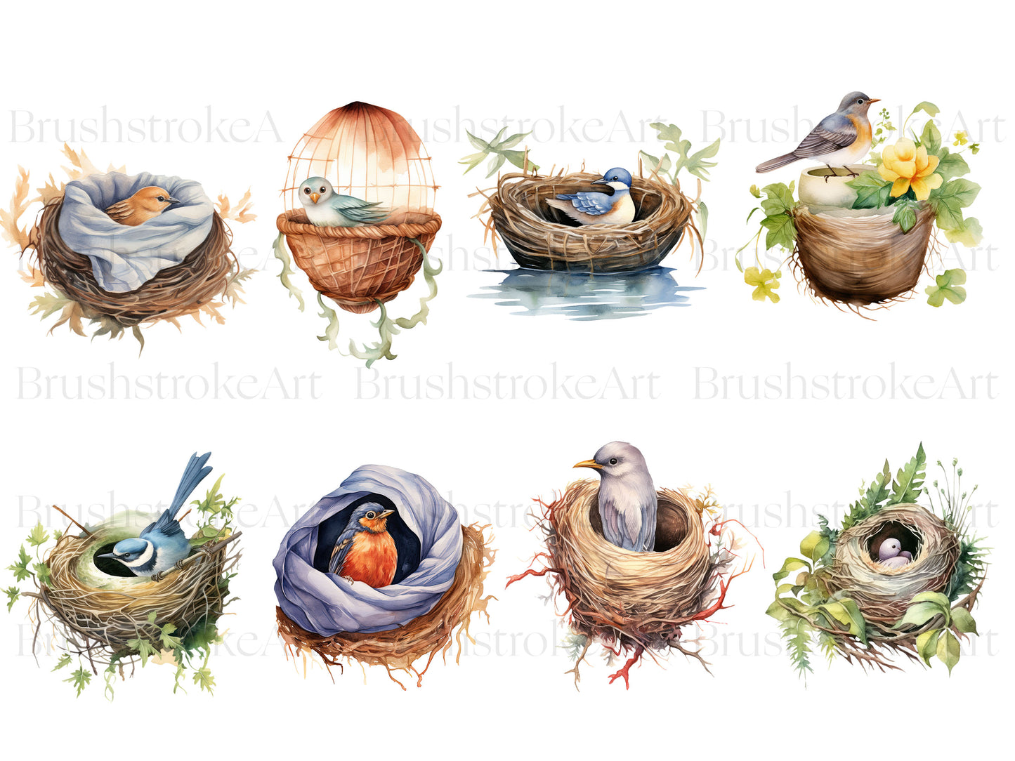 Watercolor Birds