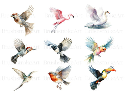 Watercolor Birds