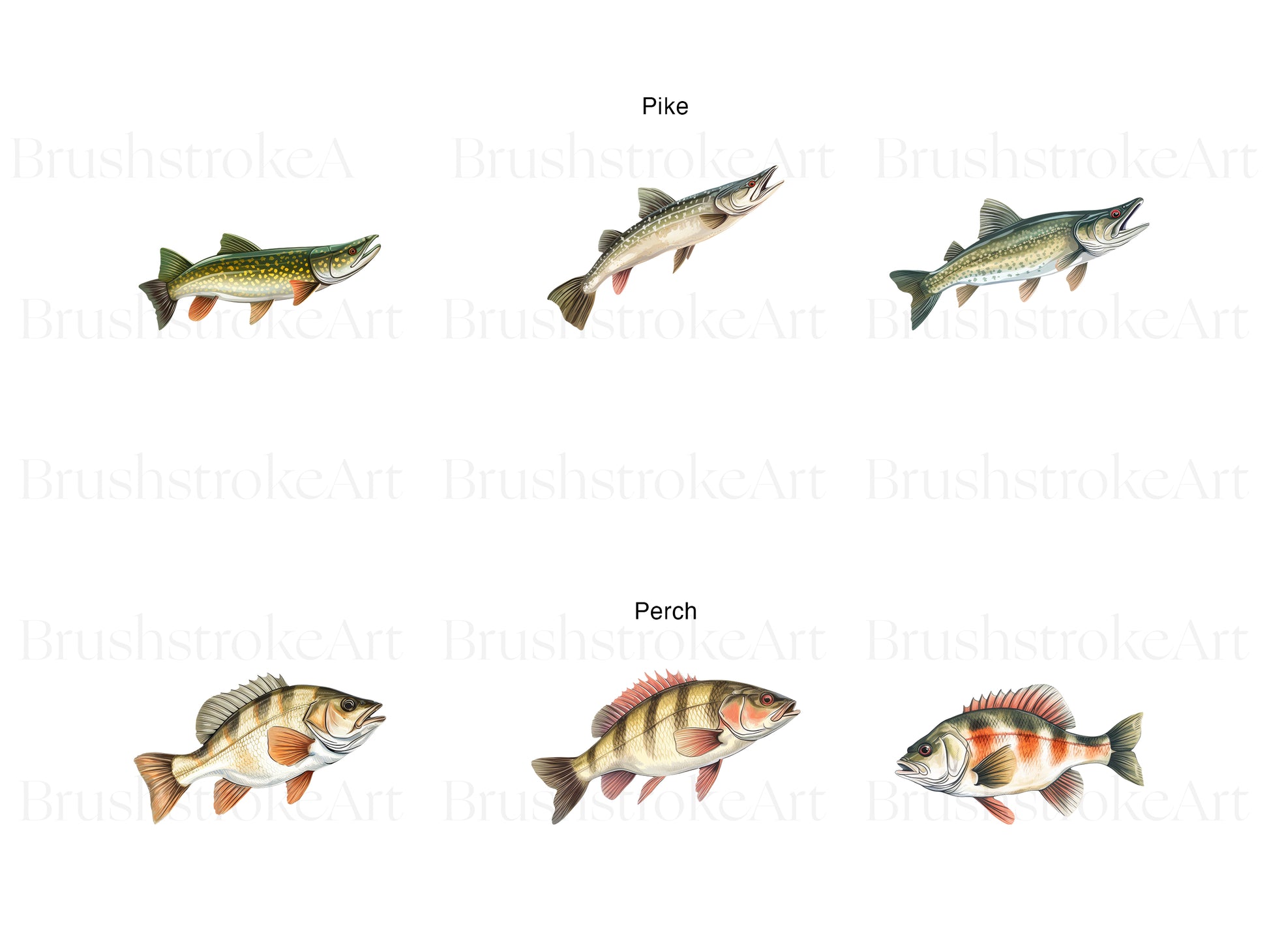 Watercolor Fishes