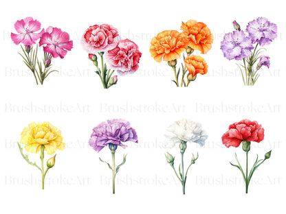 Watercolor clipart