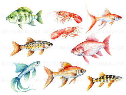 Watercolor fish