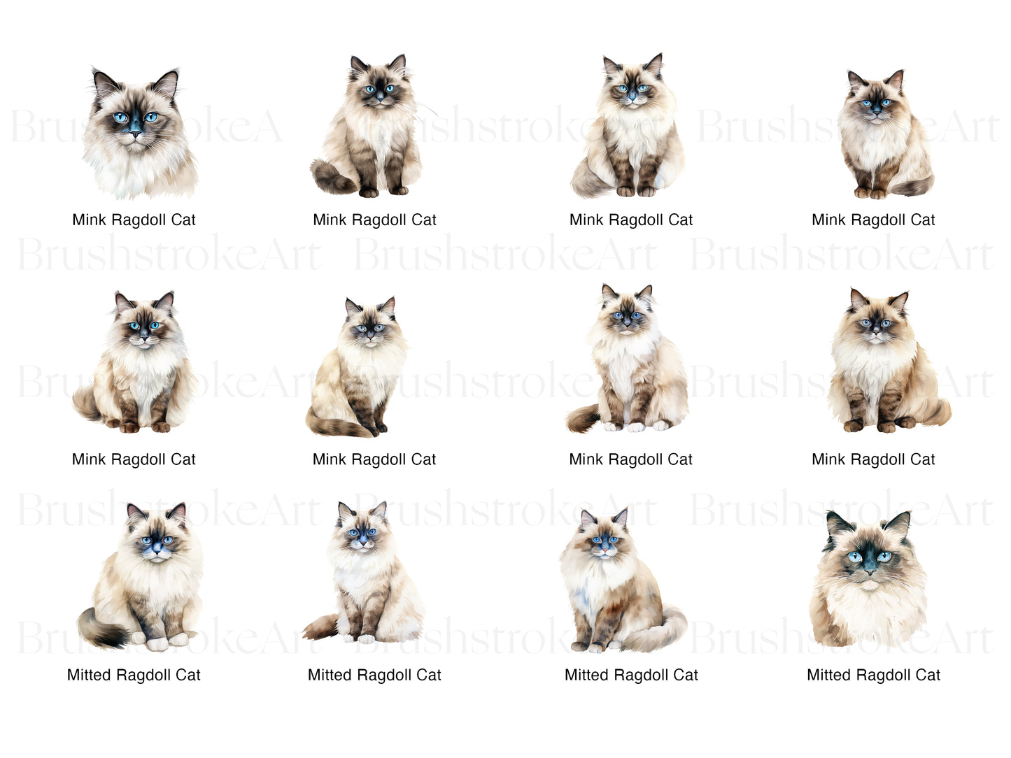 Ragdoll Cat Clipart, Ragdoll Kitten PNG, Long Haired Cat