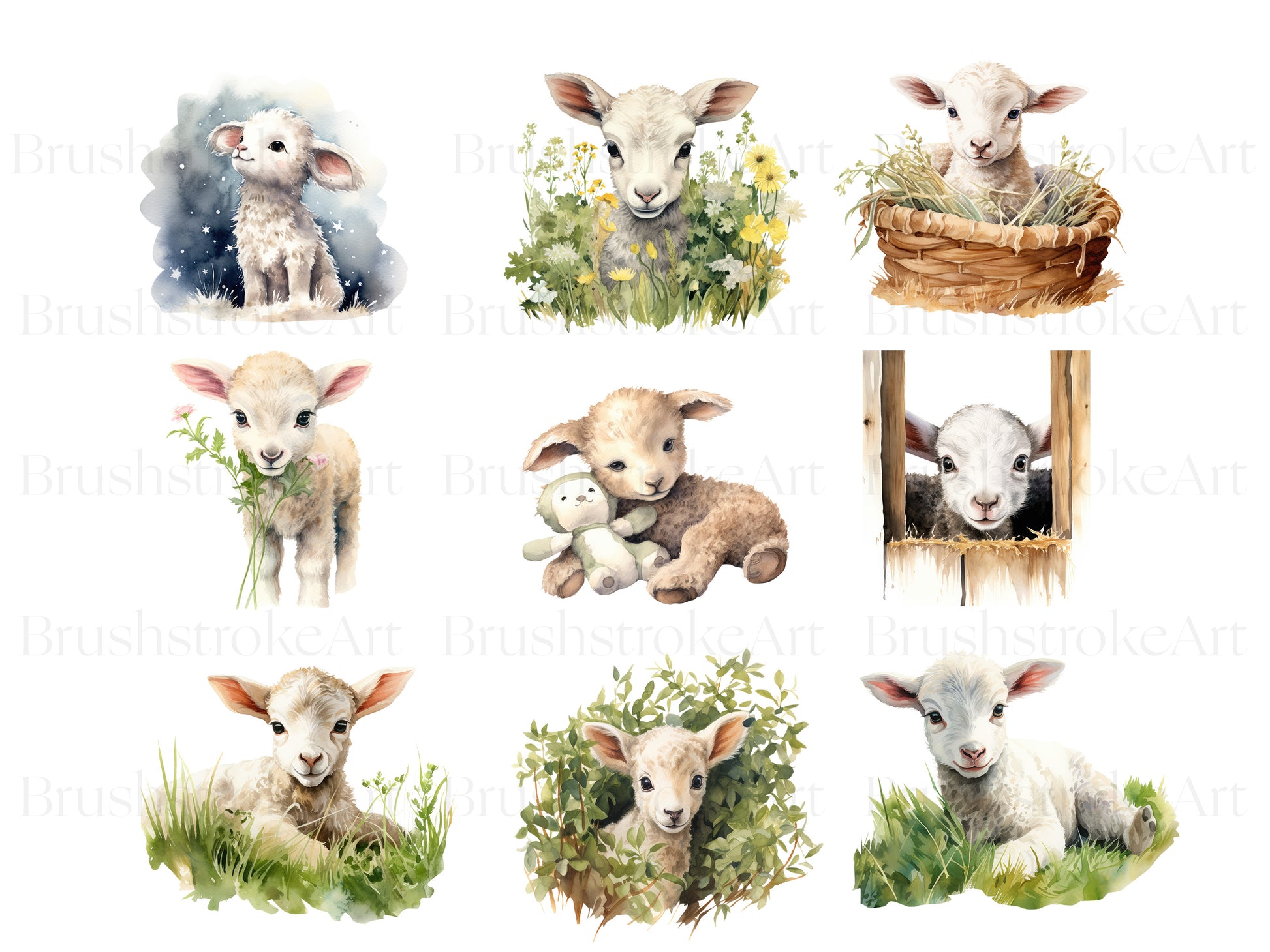 baby sheep png