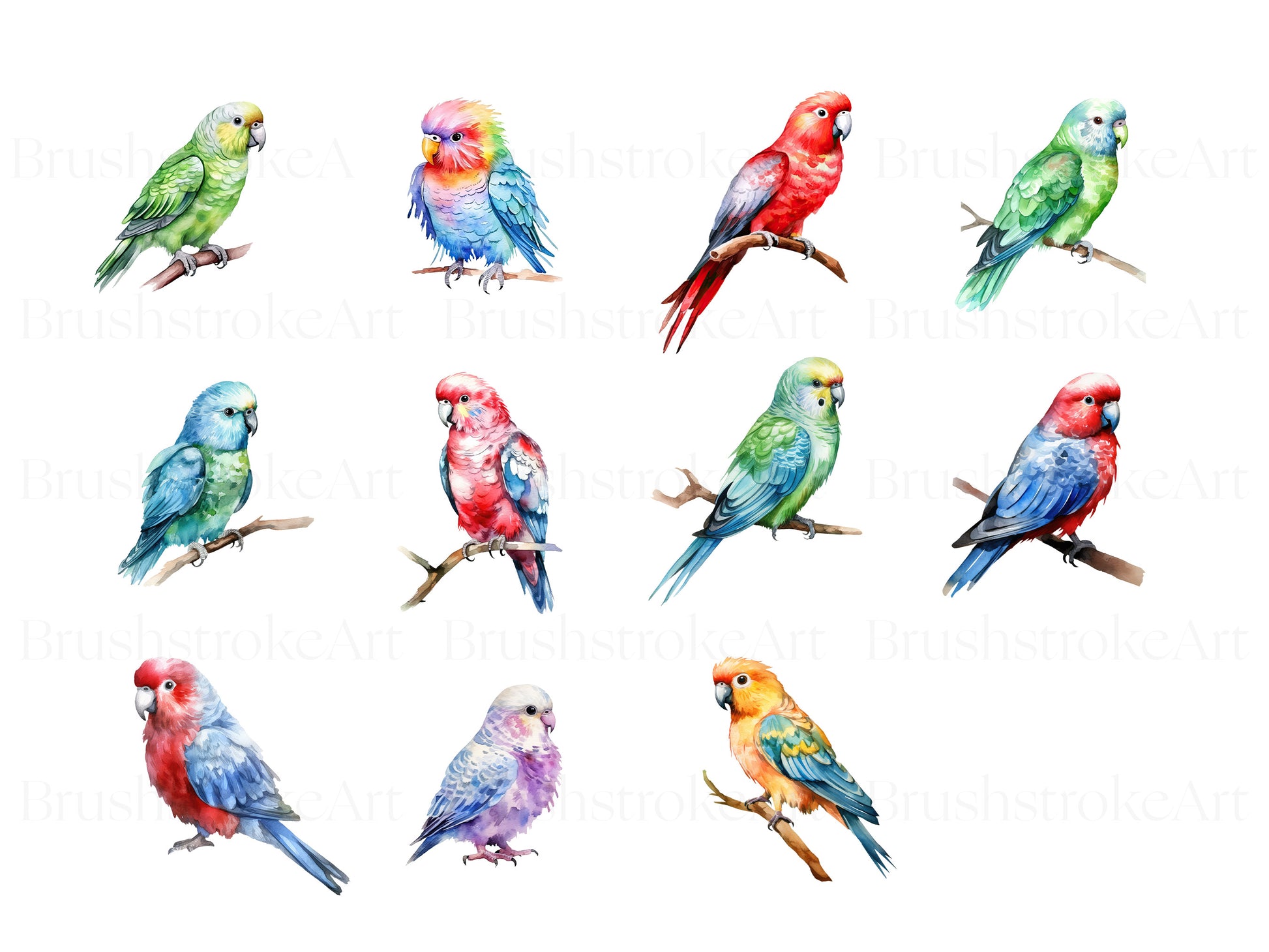 cockatoo clipart