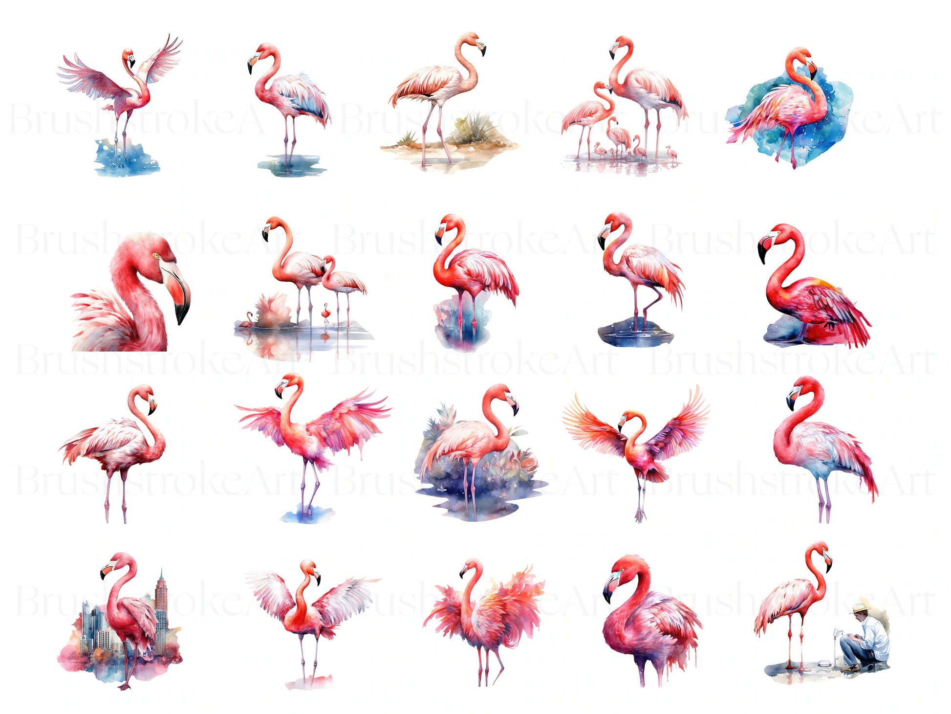 flamingo illustration