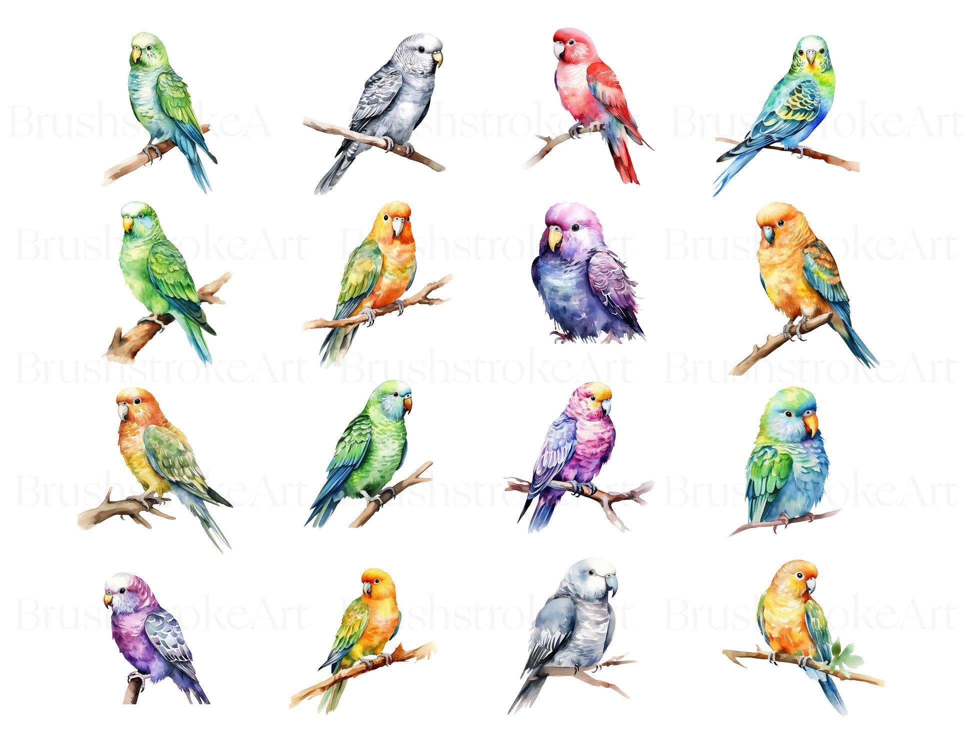 parrot clipart