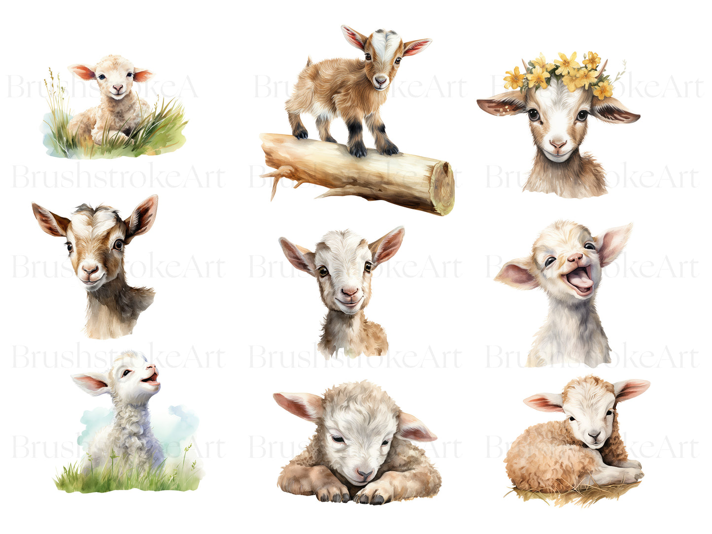 watercolor lamb